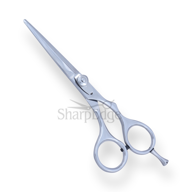 Professional Hair Dressing Scissors 